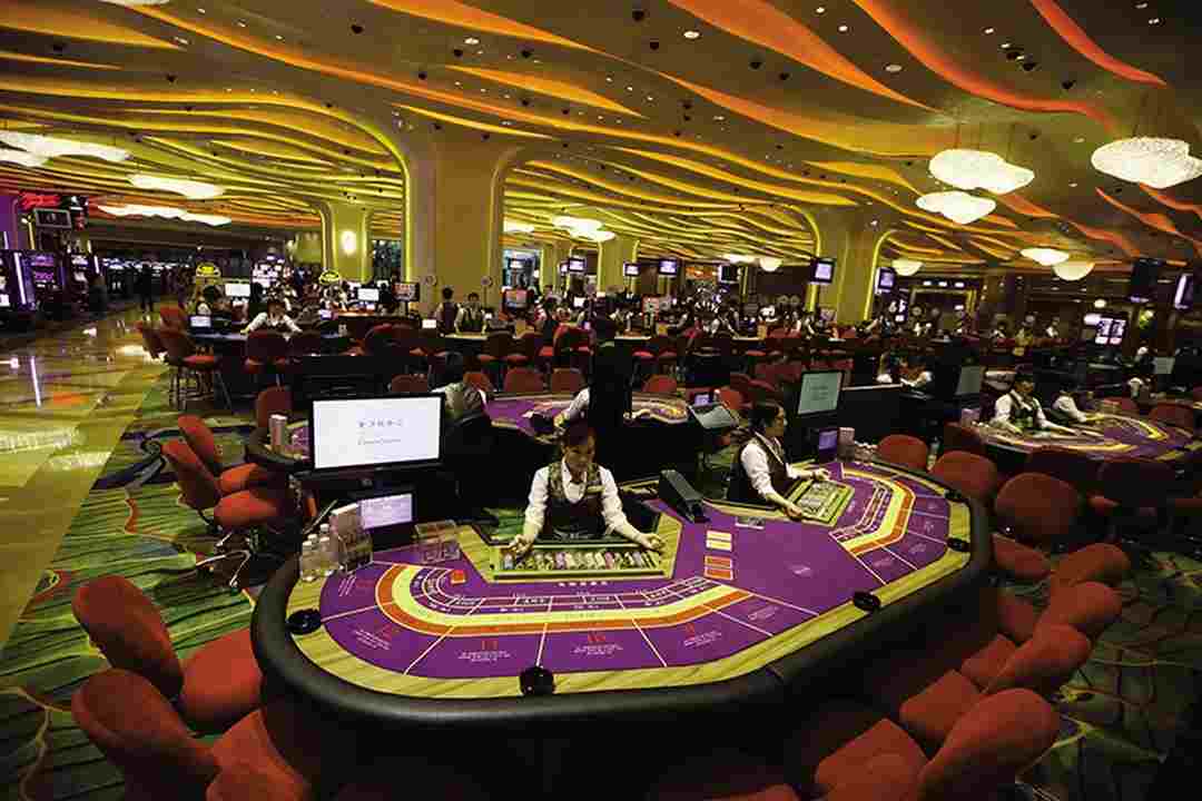Roxy casino và các nhân viên được đào tạo bài bản 